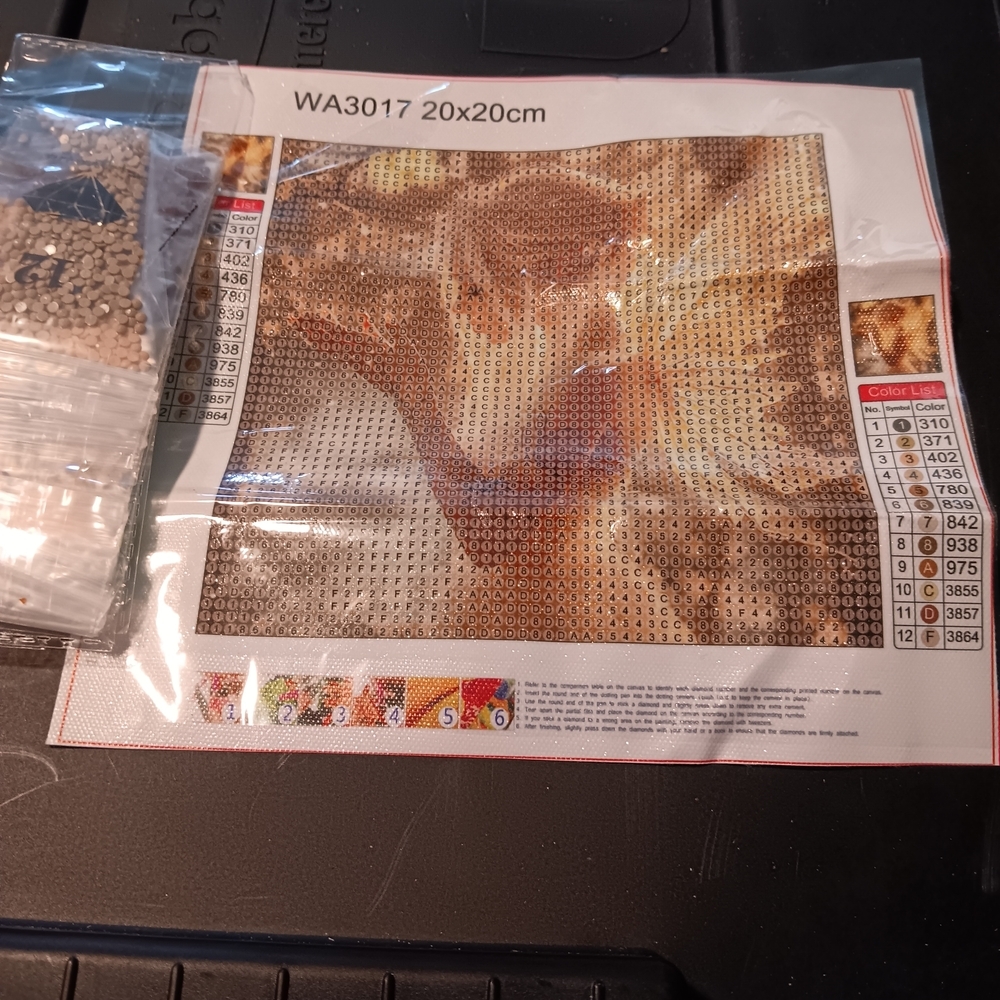 Diamond Painting Kit with Fairy Design 20x20
